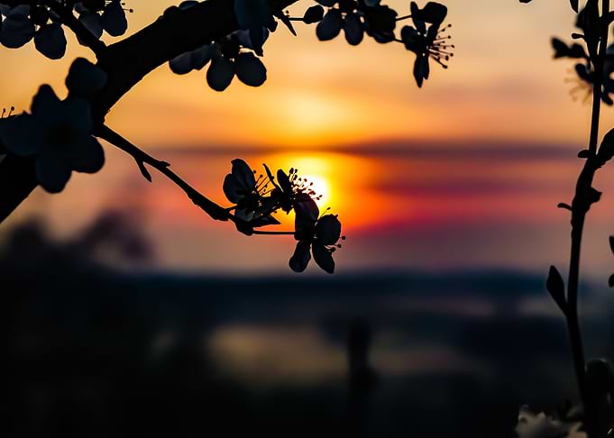 Colorful Sunrise