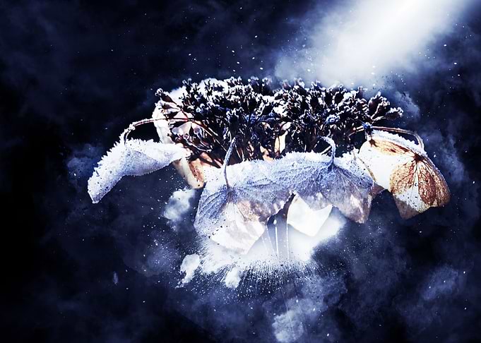 Frozen