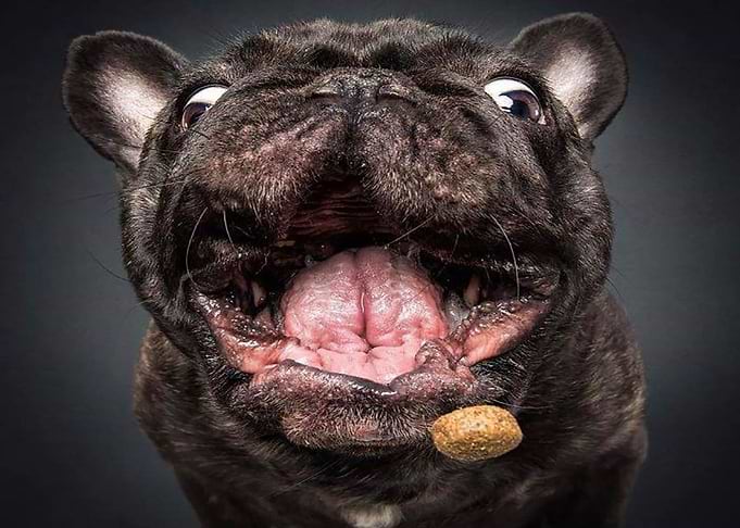 Open your mouth