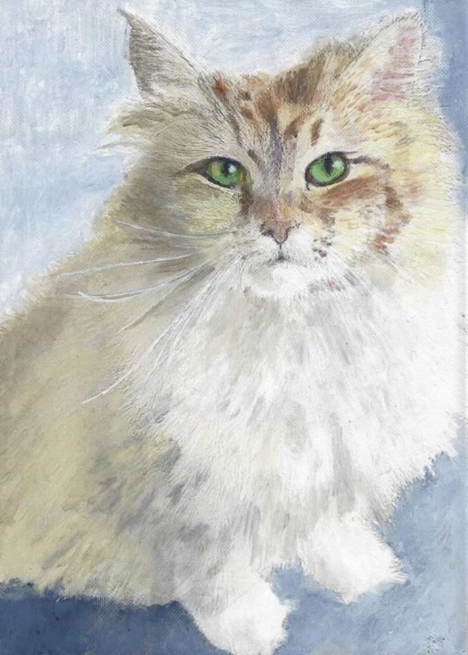 Roxy the Cat