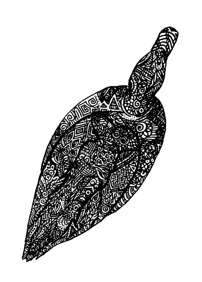 Abstract duck