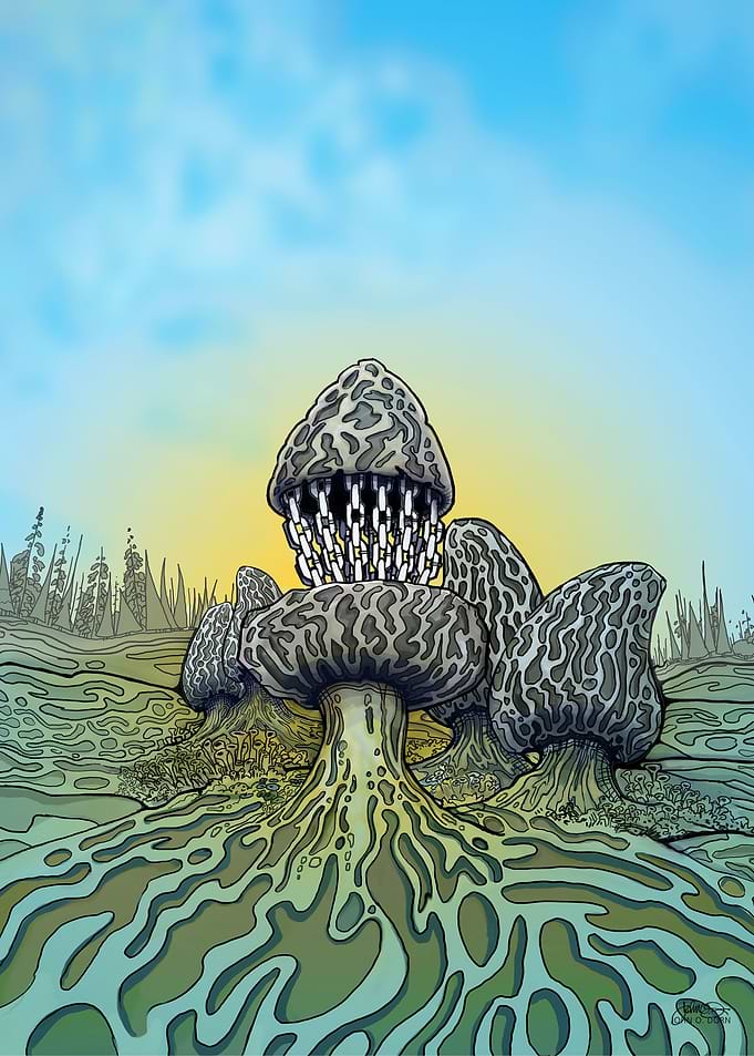Morel Mushroom Basket