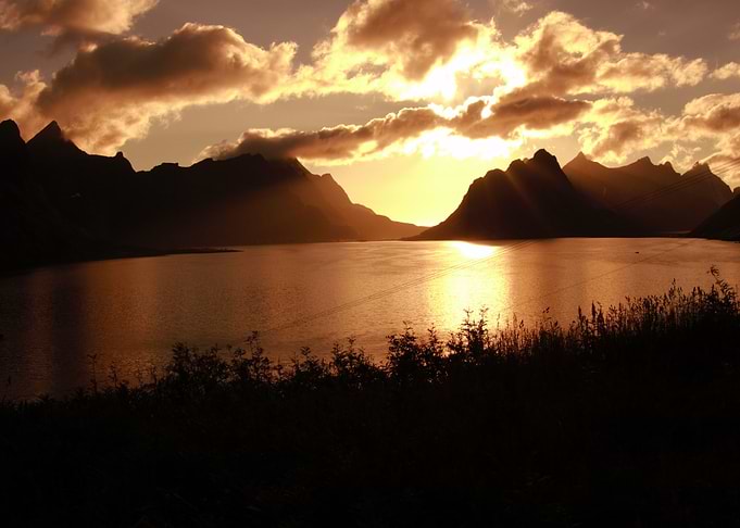 Reine