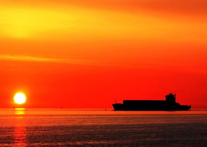 Sunset Silhouette