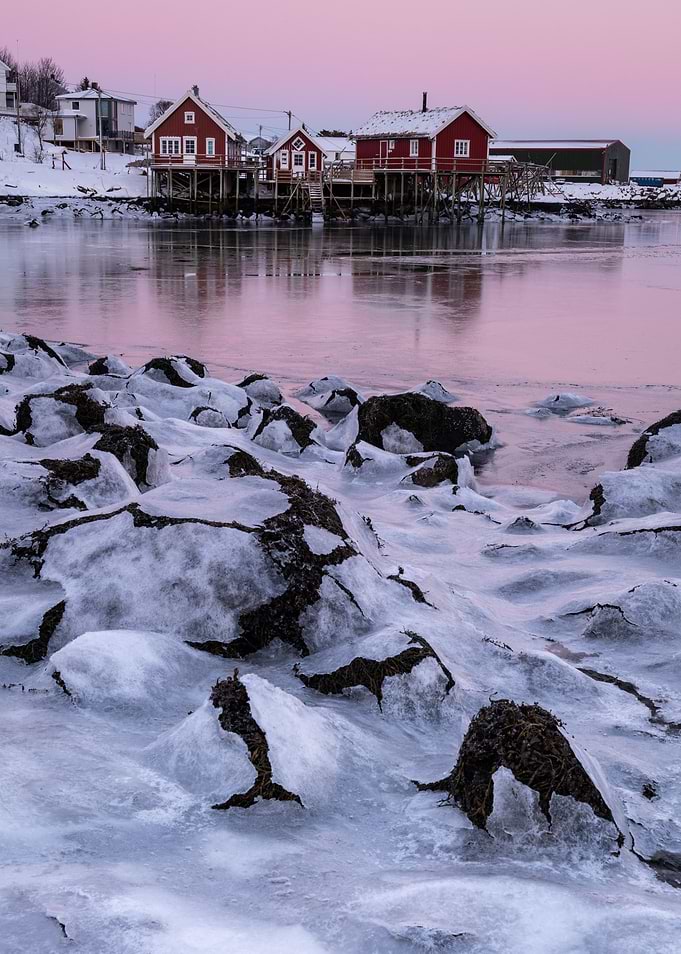 Red Cabins in Reine