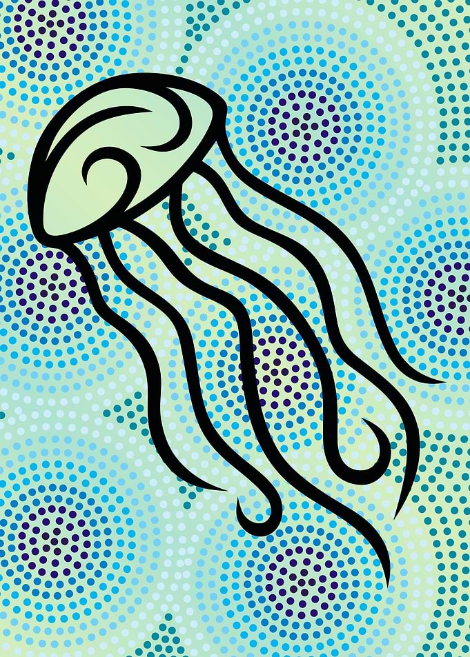 Jellyfish