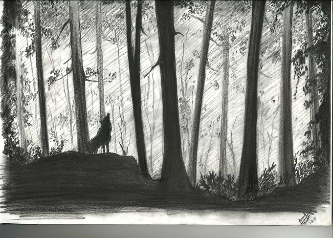 Wilderness