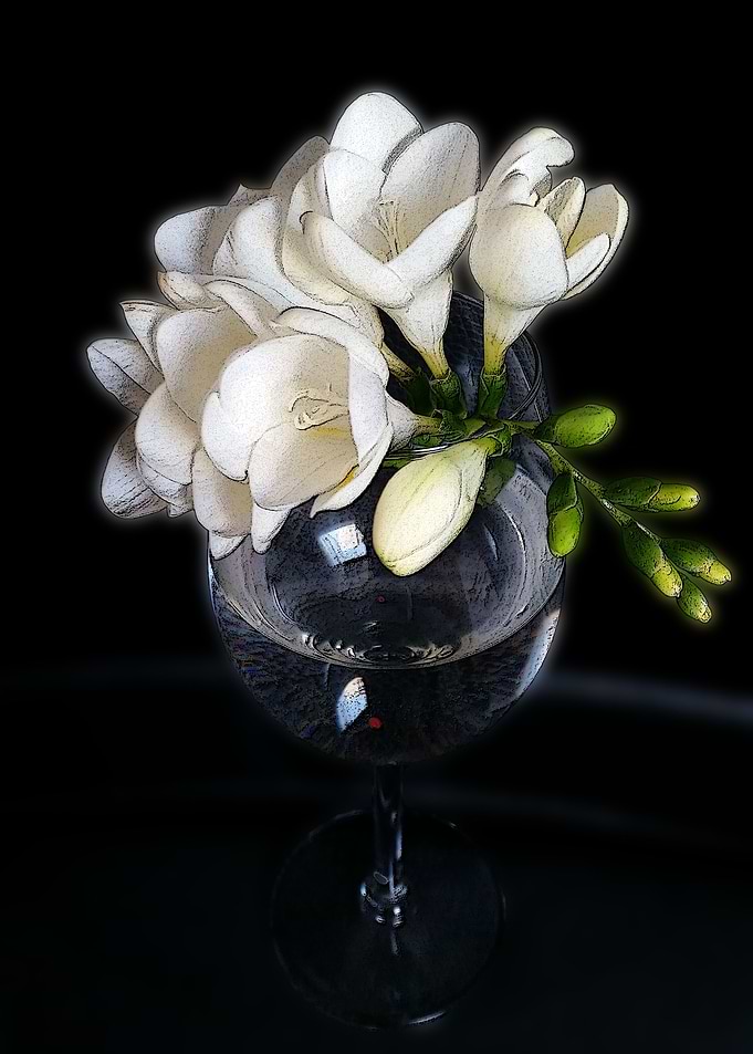 white freesia in a glass