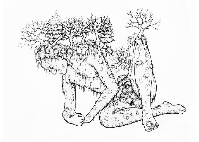 a mans forest