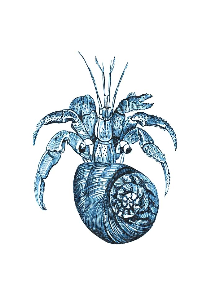 Blue Shellfish