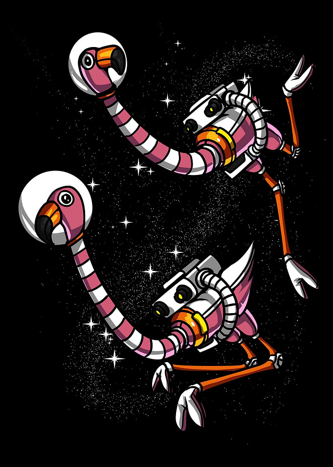 Space Flamingo Astronauts