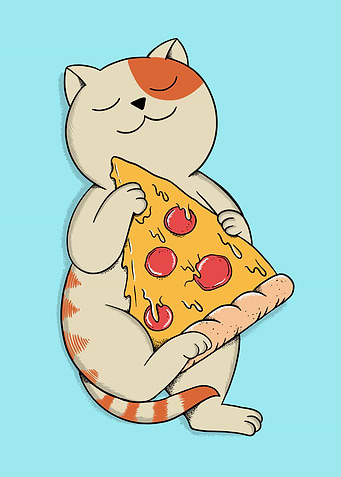 Cat and Pizza