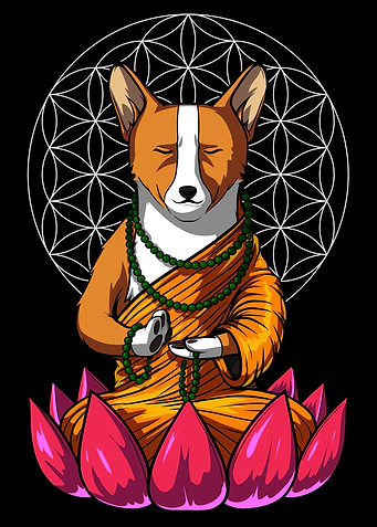 Corgi Dog Yoga Meditation