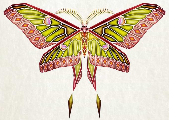moth