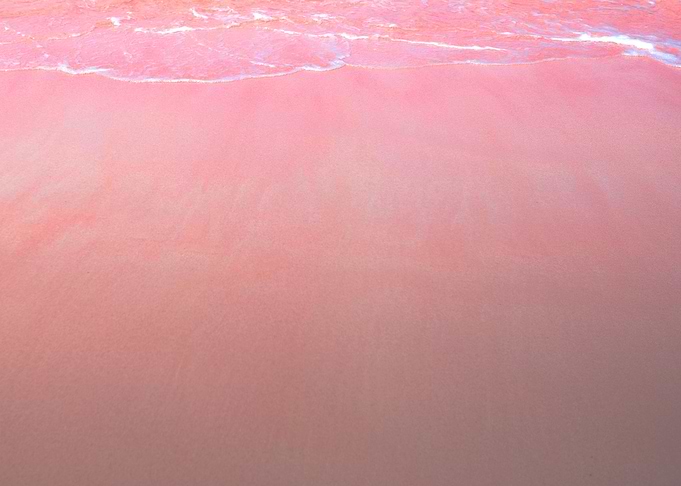 Shades of Pink