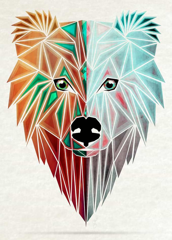 bear two faces