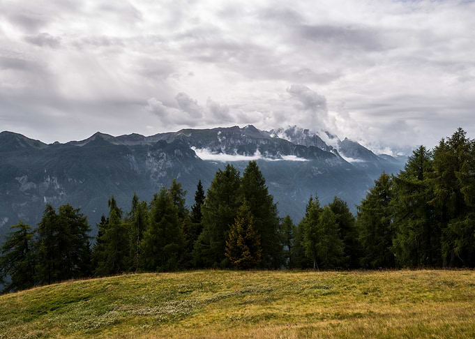 Peaceful mountain meadow