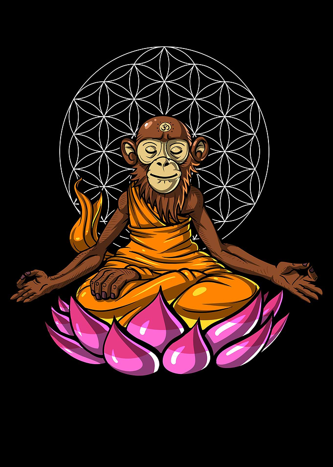 Monkey Buddha Meditation