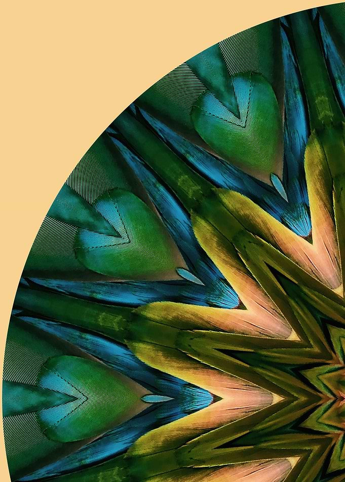 Amazon Mandala I