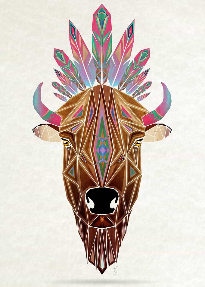 bison