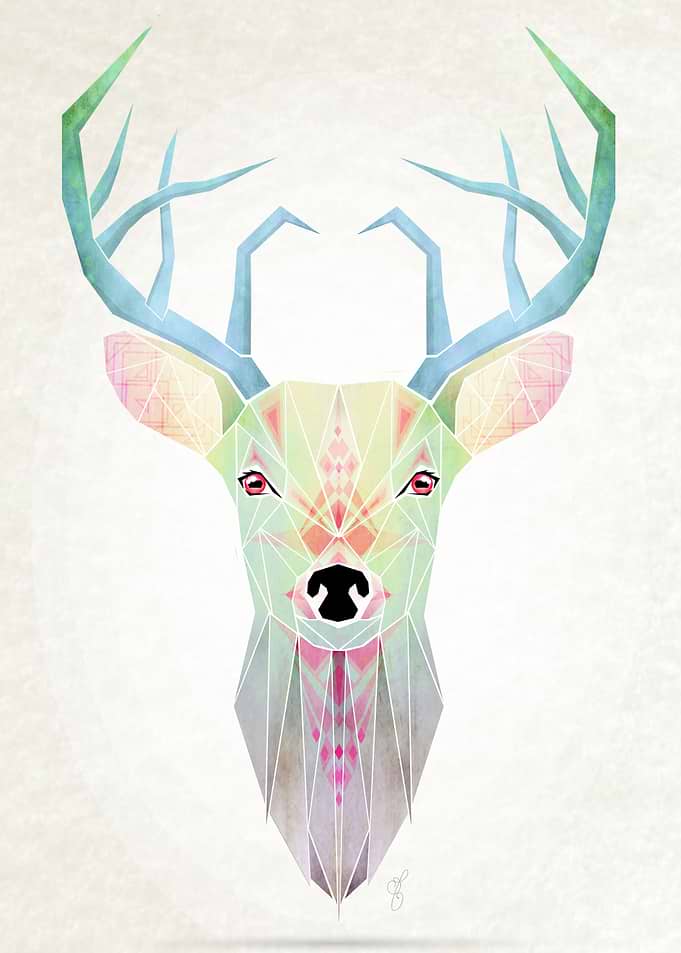 white deer