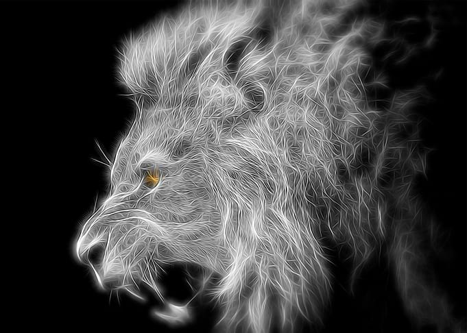 Lion the King of Animals