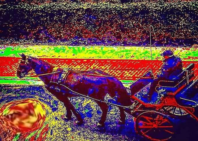Horse and carriage
