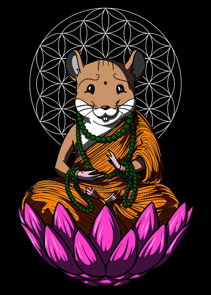 Hamster Yoga Meditation