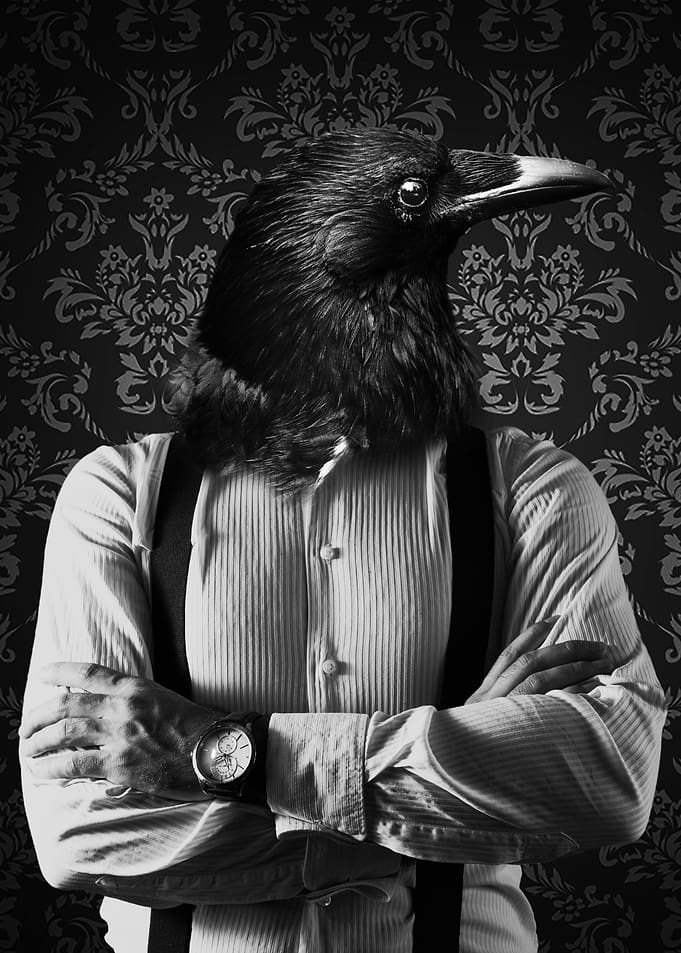 The raven