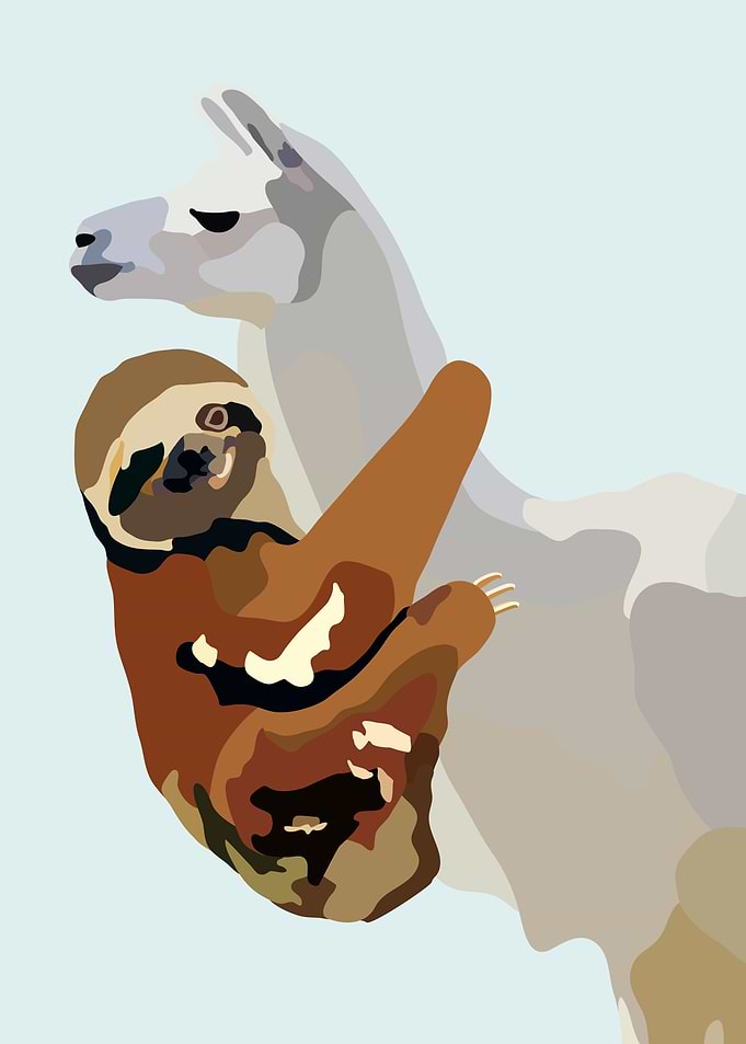 Sloth Llama