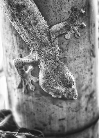 Just Hanging Around