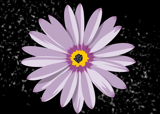 Galactic Flower