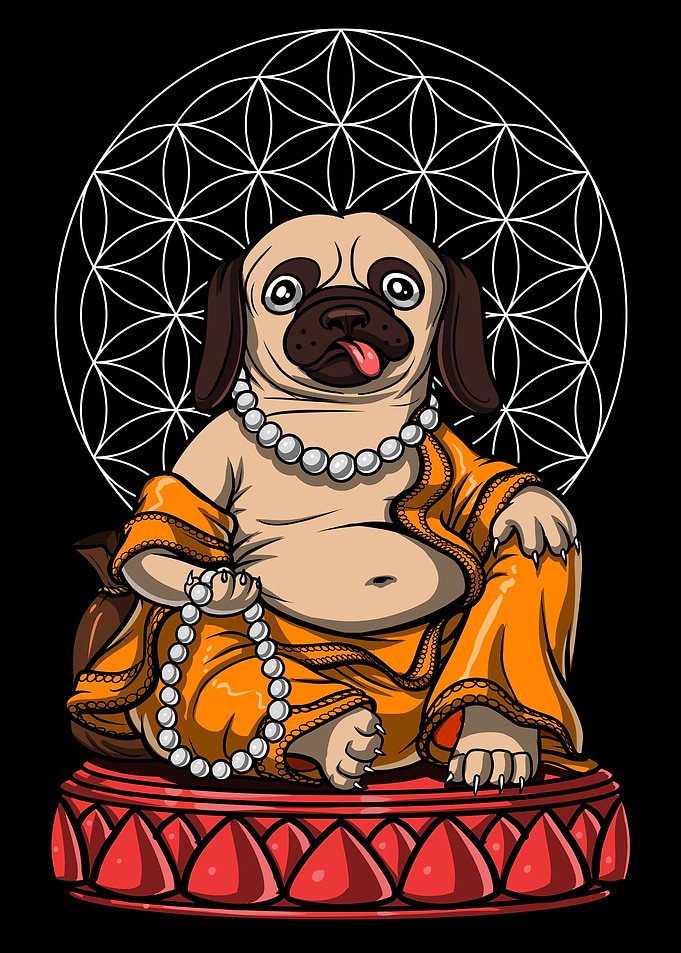 Pug Dog Buddha Meditation