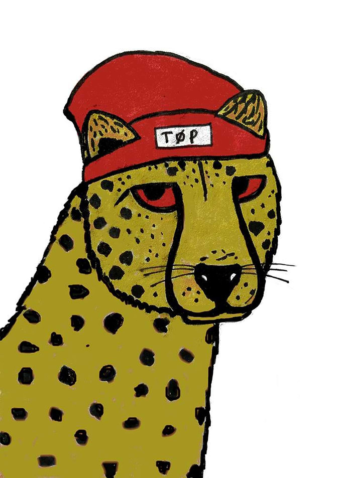 Cheetah