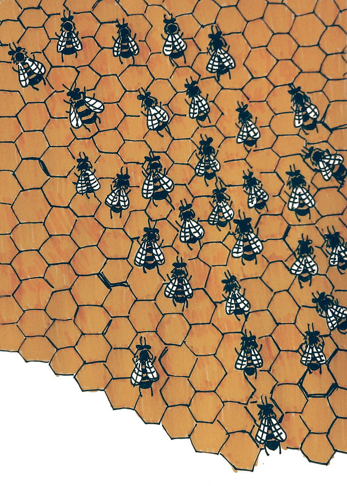 Bees