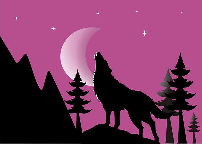 Alpha Wolf