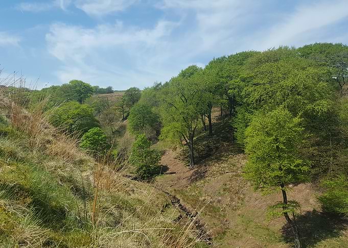 valley