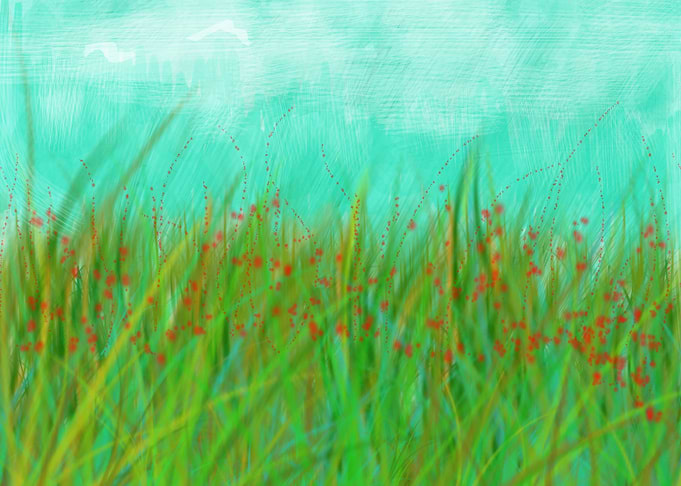 Nature grass