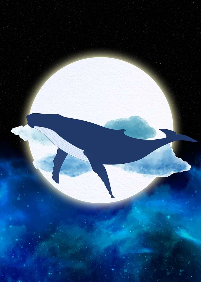The whale