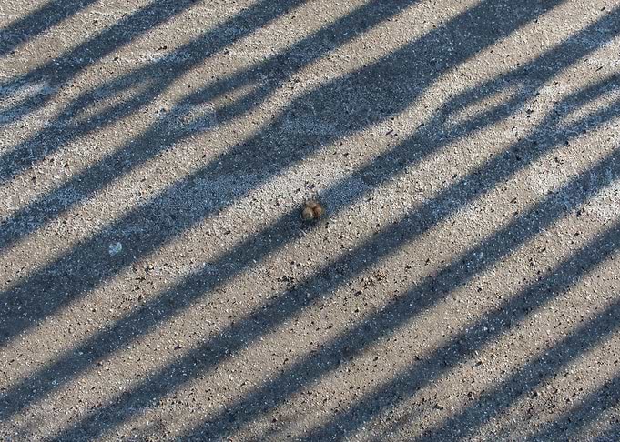 Fencing shadow