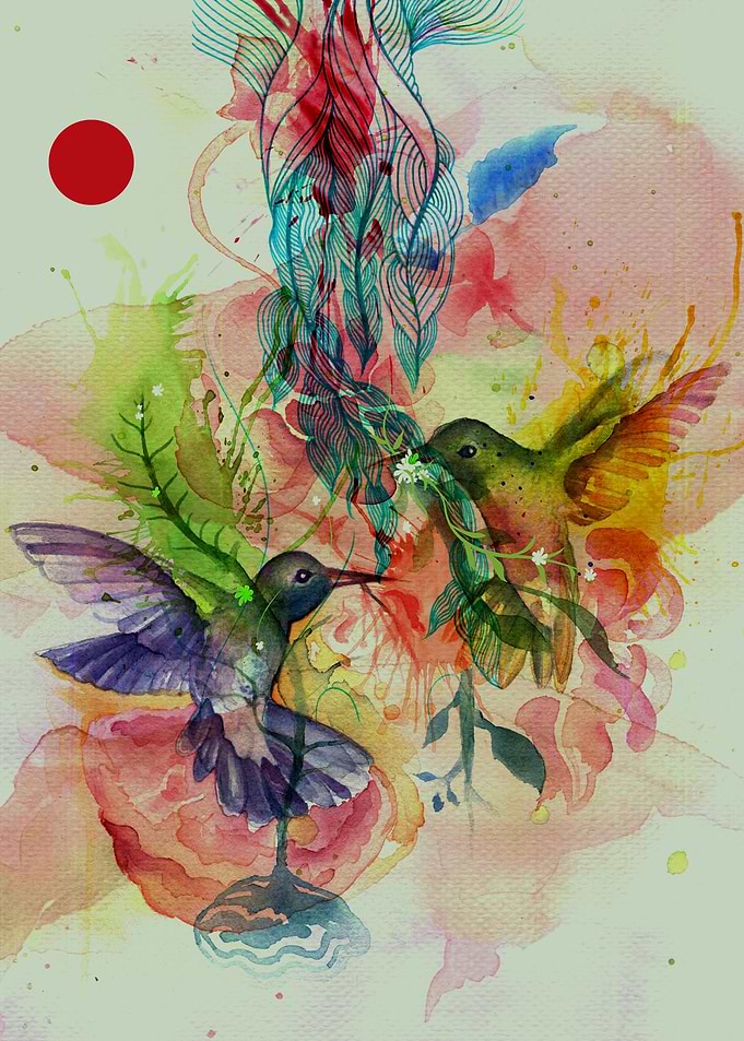Humming Birds