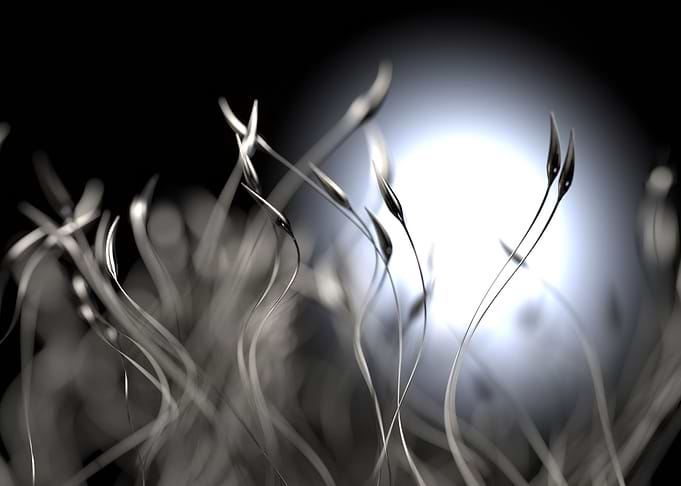 Stalks