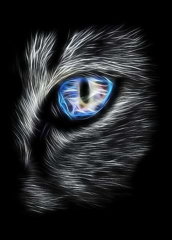 Cat Eye