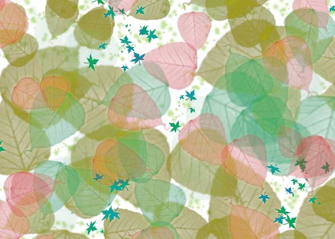 The art of Leaves