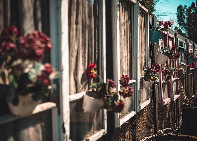 Flower Pots