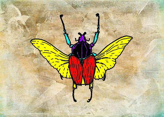Fly