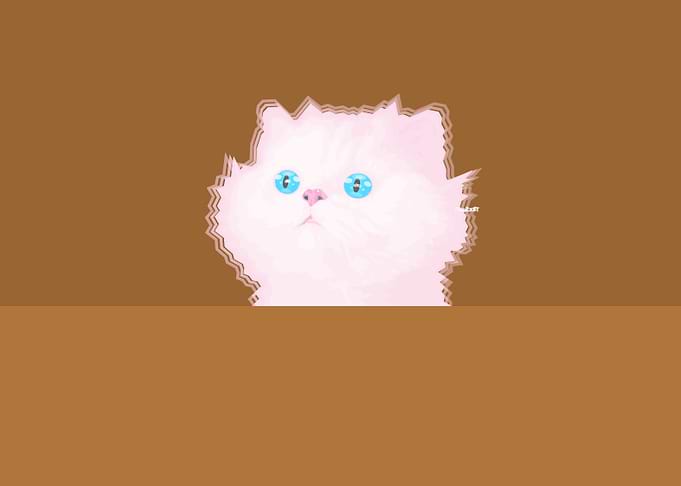 Chocolate Cat