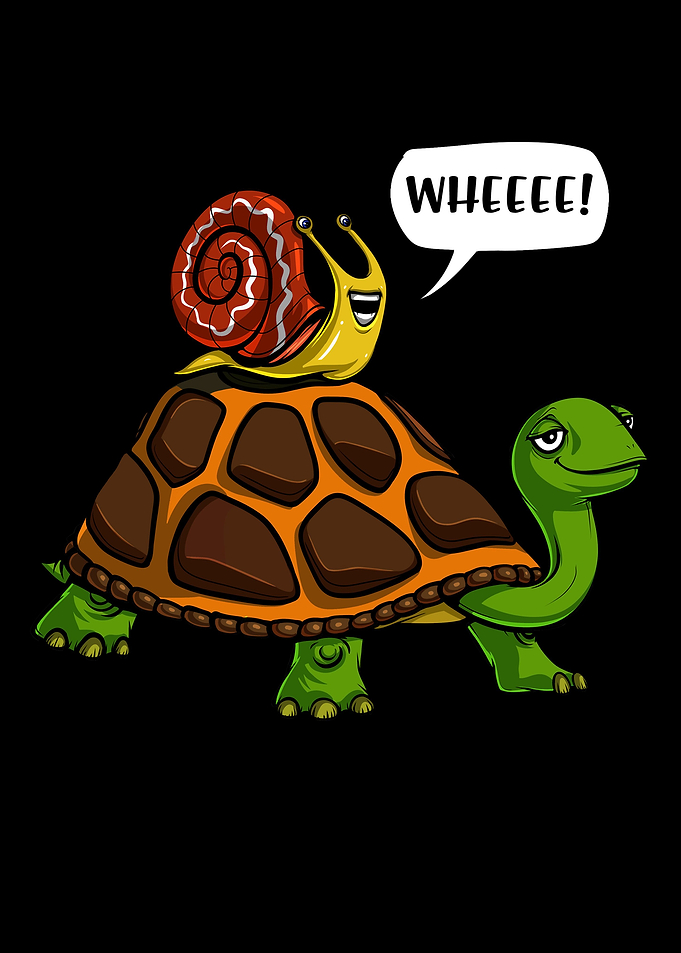 Snail Riding Turtle