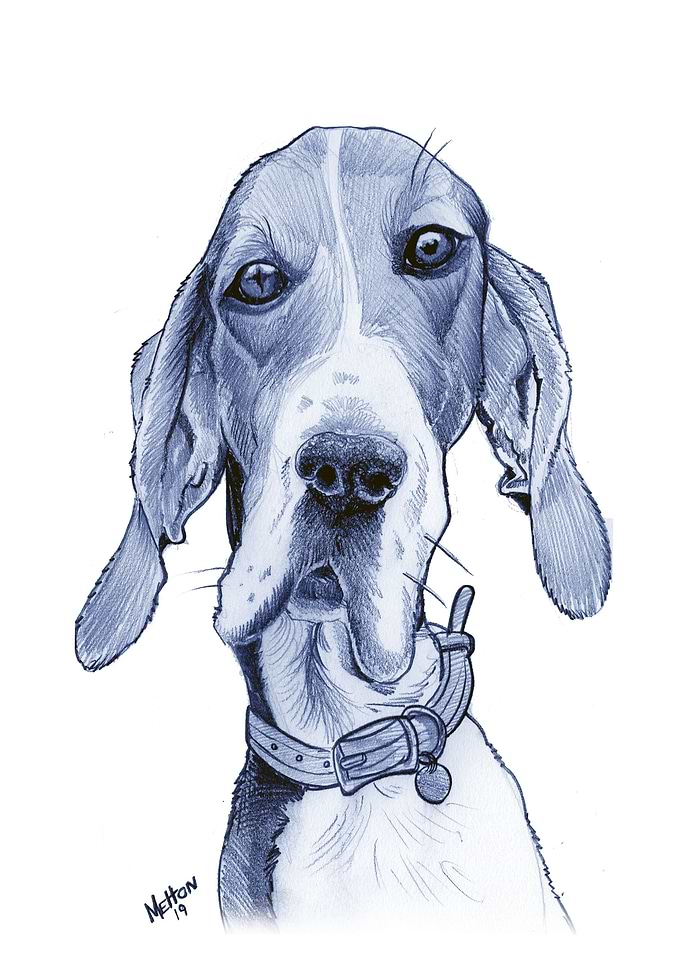 Hound Dog Blues