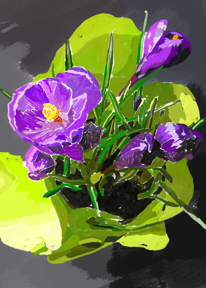 Lilac flowers Saffron